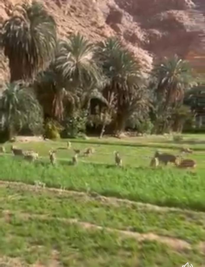 Riad Dar Ahlam Ait Baha Ngoại thất bức ảnh